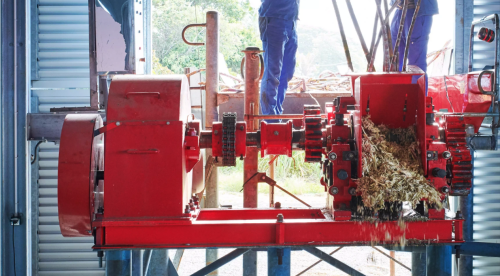 moulin sucrerie distillerie canne